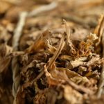 Tobacco leaf / Cut Rag